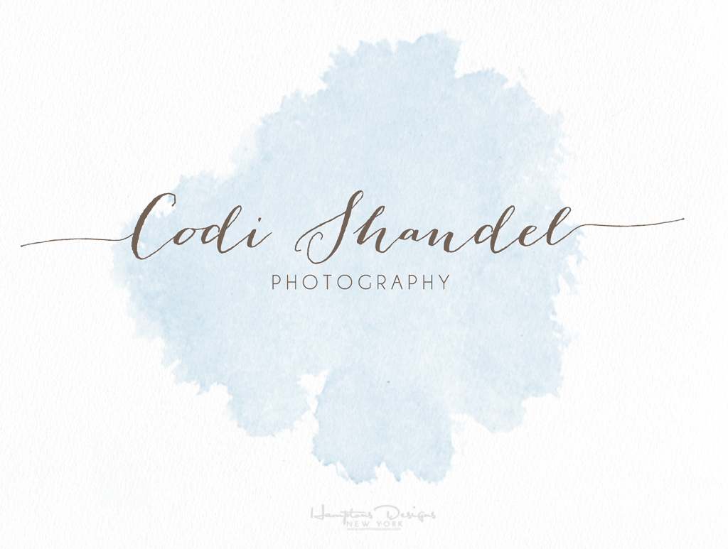 blue watercolor pre-made logo branding photography