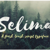 Free Font - selima